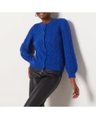 Jersey Berta azul royal