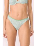 Anchusa Standard-Bikinihose mit grünem Hintergrunddruck