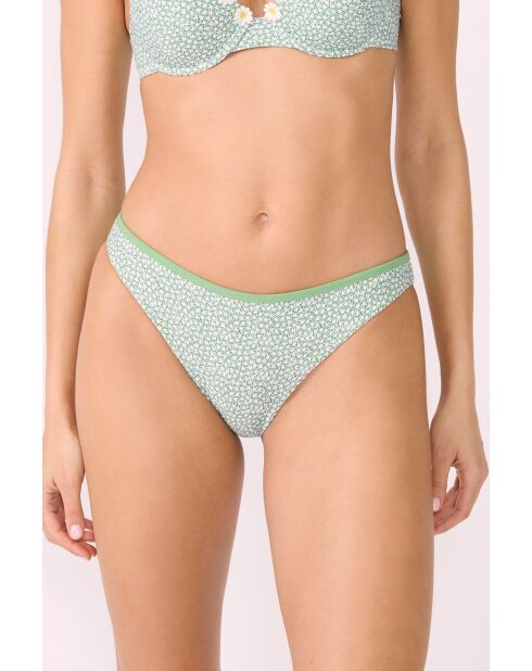 Anchusa Standard-Bikinihose mit grünem Hintergrunddruck