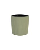 Gobelet Tresse anis -12 cl