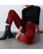 Enory terracotta planten