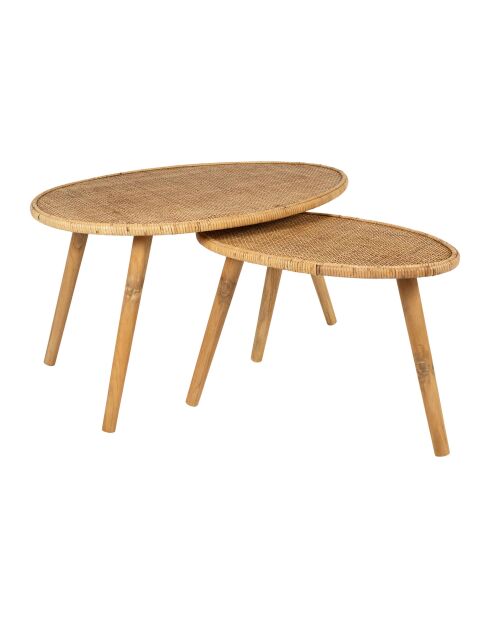 2 natuurlijke Tamba salontafels - H: 44/40 cm