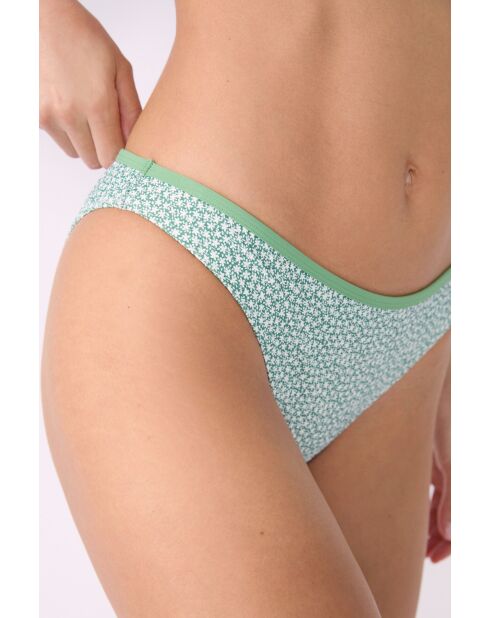 Anchusa Standard-Bikinihose mit grünem Hintergrunddruck
