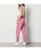 Plantas de orquídeas Dingo Gd