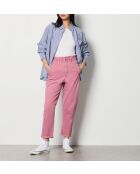 Plantas de orquídeas Dingo Gd