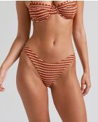 Valley Mehrfarbige klassische Bikinihose