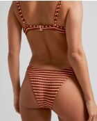 Valley Mehrfarbige klassische Bikinihose