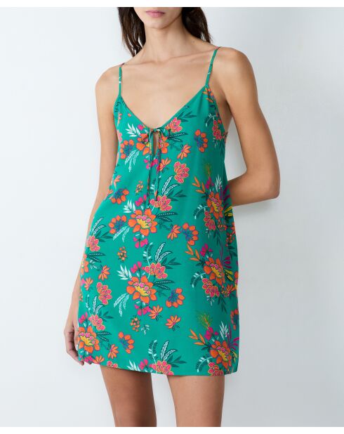 Fiego groene nachtjapon