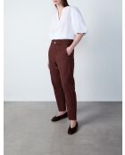 Plantas de chocolate Dingi Gd