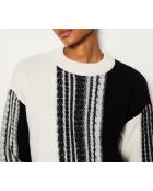 Zwart-witte trui van Gaspard