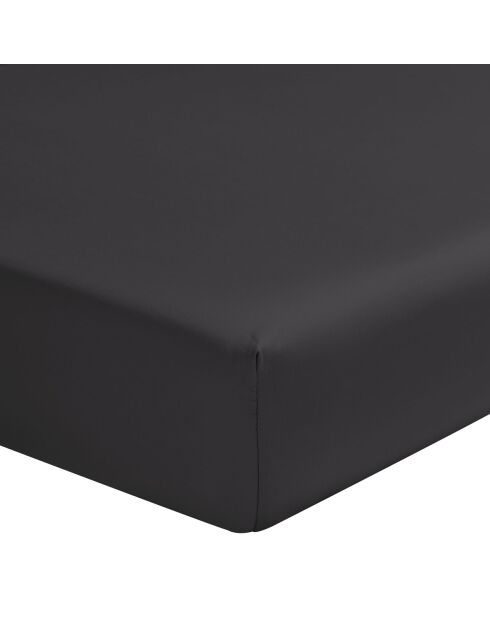 Lenzuolo con angoli elasticizzati Teophile in raso di cotone biologico tinta unita grigio antracite