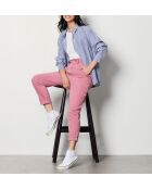 Plantas de orquídeas Dingo Gd