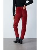 Enory terracotta planten