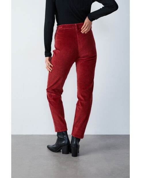 Enory terracotta planten