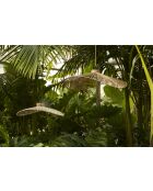 Calyp natürliche Suspension - D70,5x16 cm