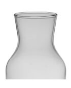 Caraffa per pesce Summer-Sea turchese - 1 litro