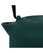 Theepot met groene vlechtjes - 1L