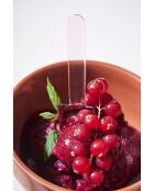 Cuillère à glace  x  6 Boîte Colorea longueur - 9 cm