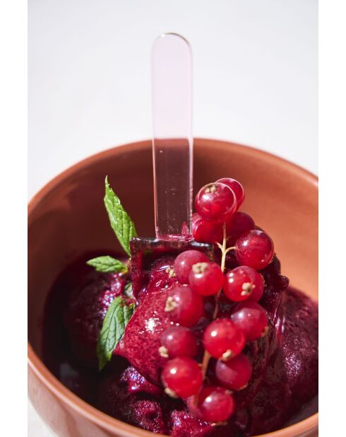 Cuillère à glace  x  6 Boîte Colorea longueur - 9 cm