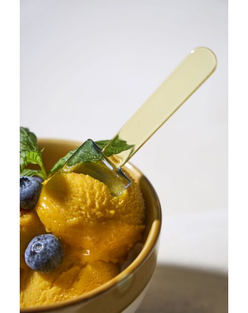 Cuillère à glace  x  6 Boîte Colorea longueur - 9 cm