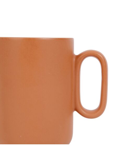 Baltika Terrakotta-Teekanne mit Filter - 50 cl