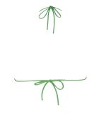 Top Triangle Lupita imprimé fond vert