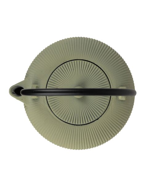 Theepot met anijsvlechtwerk - 1L