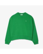 Calathea sweatshirt van extra groot katoen