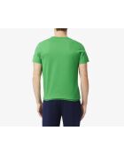 Rucksackmütze und T-Shirt Tennis x Novak Djokovic calathea/grün