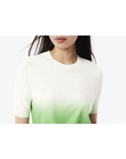 Maglia a maniche corte effetto sfumato Calathea/flour