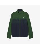 Survêtement Tennis x Novak Djokovic vert/marine