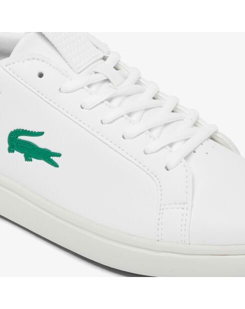 Chaussures de golf G Elite blanc/vert