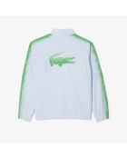 Ensemble survêtement Tennis x Daniil Medvedev ruisseau/calathea