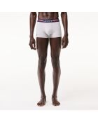 Lot de 3 boxers courts ceinture tricolore marine/argent chine/rouge