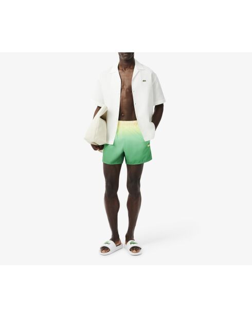 Calathea/gelbe kurze Badeshorts mit Farbverlauf