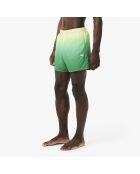 Calathea/gelbe kurze Badeshorts mit Farbverlauf