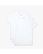 Confezione da 3 t-shirt da interno in cotone bianco