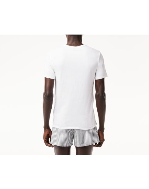 Confezione da 3 t-shirt da interno in cotone bianco