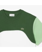 Weißes/liamone-grünes T-Shirt aus Baumwolljersey mit Farbblockmuster