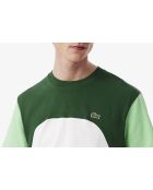 Weißes/liamone-grünes T-Shirt aus Baumwolljersey mit Farbblockmuster