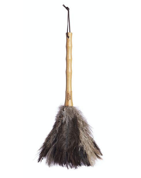 Veelkleurige plumeau - 47x7x6 cm