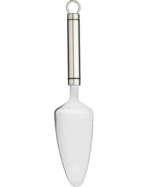 Professionele ovale zilveren taartschep van roestvrij staal - 26x5,7x2,7 cm