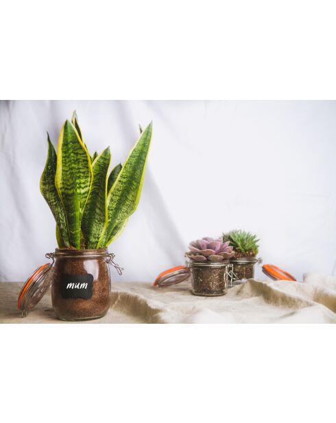 Barattolo per marmellata in vetro fatto in casa con coperchio a clip, trasparente, 750 ml — 10x13x14 cm