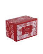 Louise Teekannenbox mit Filter, 21 x 15 x 14 cm, rot