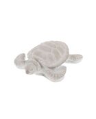 Simpatica tartaruga grigia naturale - 6,50x16,50 cm