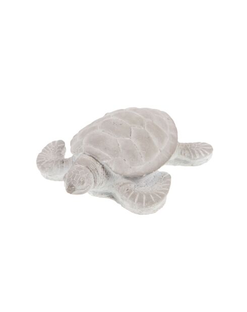 Simpatica tartaruga grigia naturale - 6,50x16,50 cm