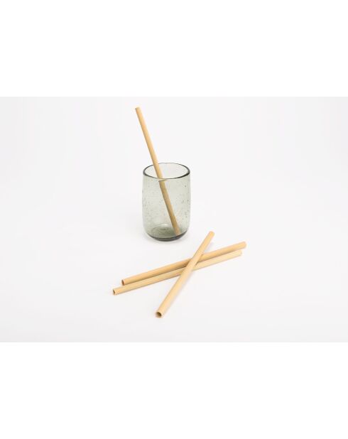 Set van 12 crème/ivoorkleurige bamboerietjes - 20x0.50cm