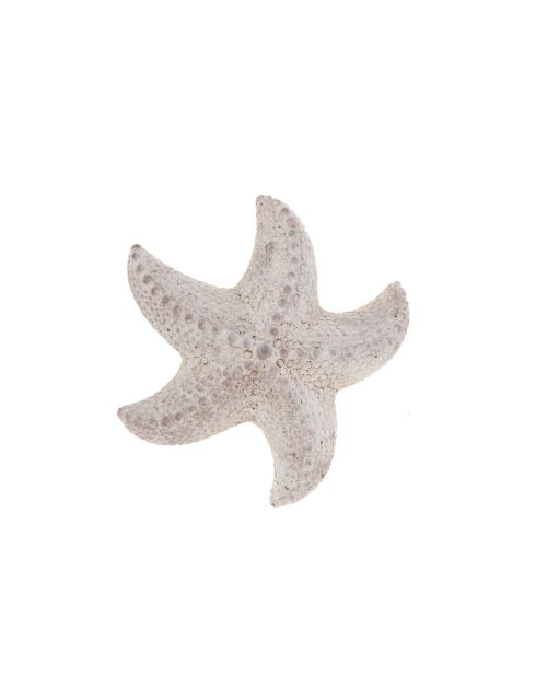 GM gepatineerde witte zeester - 4x14,50cm