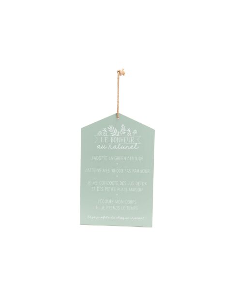 Plato verde natural - 27x42 cm