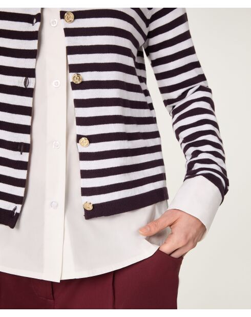 Gestreifte Baumwollweste Esche mit Raglanärmeln in Auberginenfarben